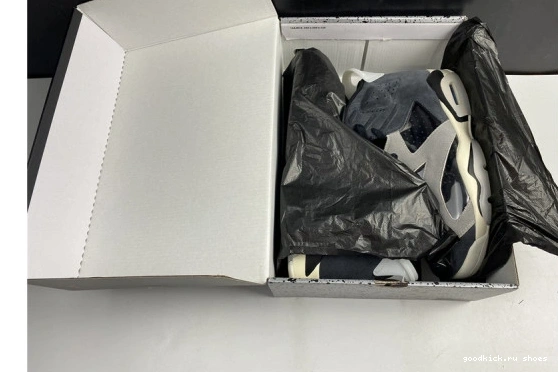 Jordan 6 WMNS “Tech Air Jordan-6 Chrome 0303